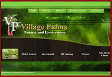 Village Palms